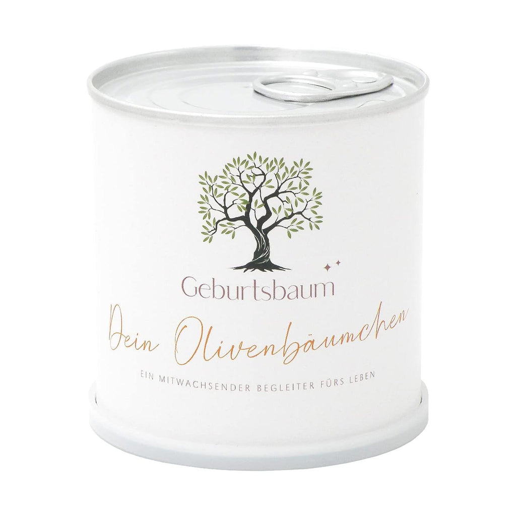 Olivenbaum Anzuchtset zur Geburt