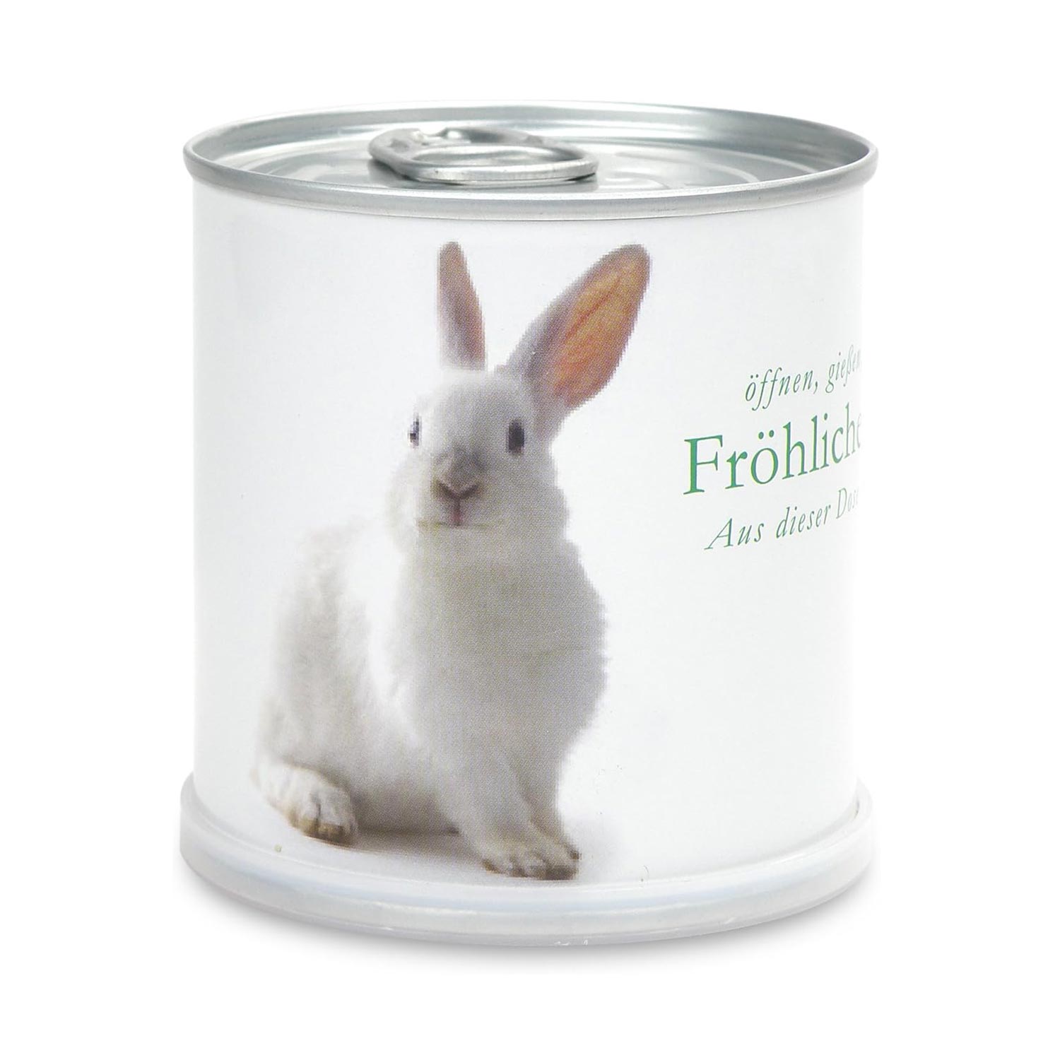 Ostern Blumendose Vergissmeinnicht