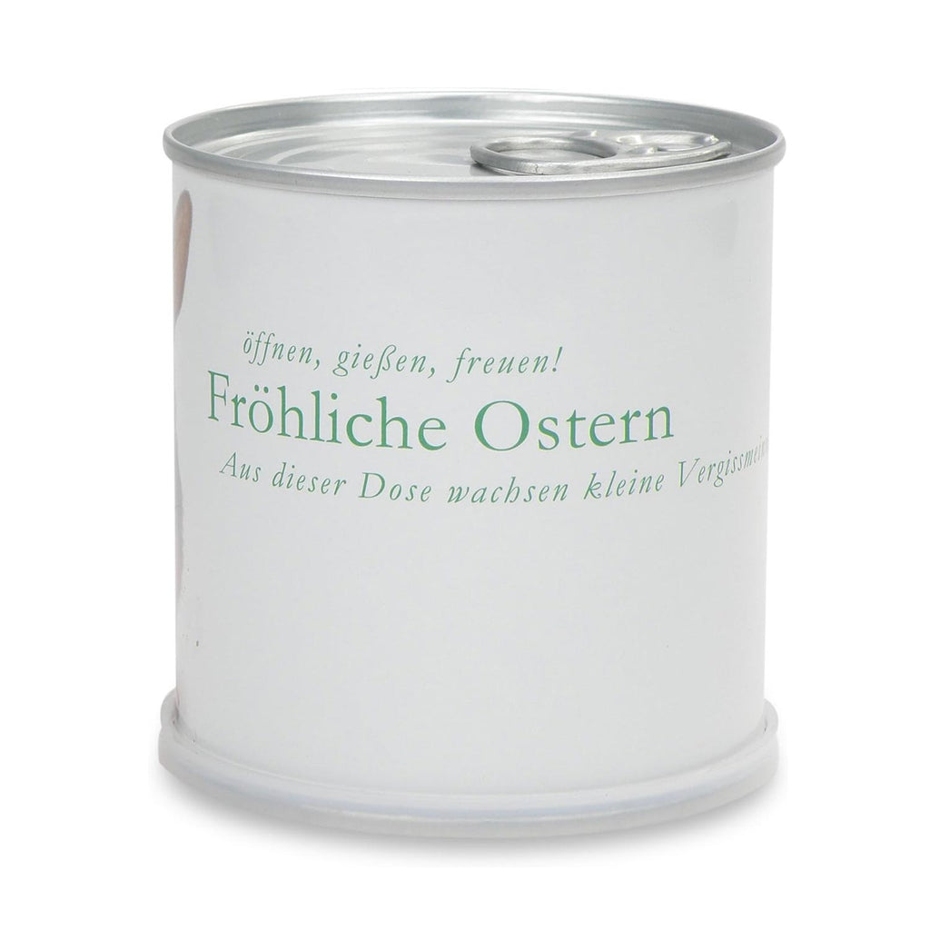 Ostern Blumendose Vergissmeinnicht