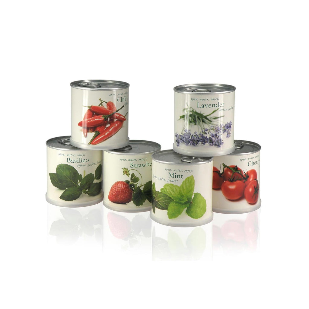 Alles Liebe zum Muttertag - Gänseblümchen Geschenk