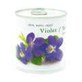 Veilchen - Blumen in der Dose