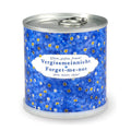 Vergissmeinnicht in der Blumendose