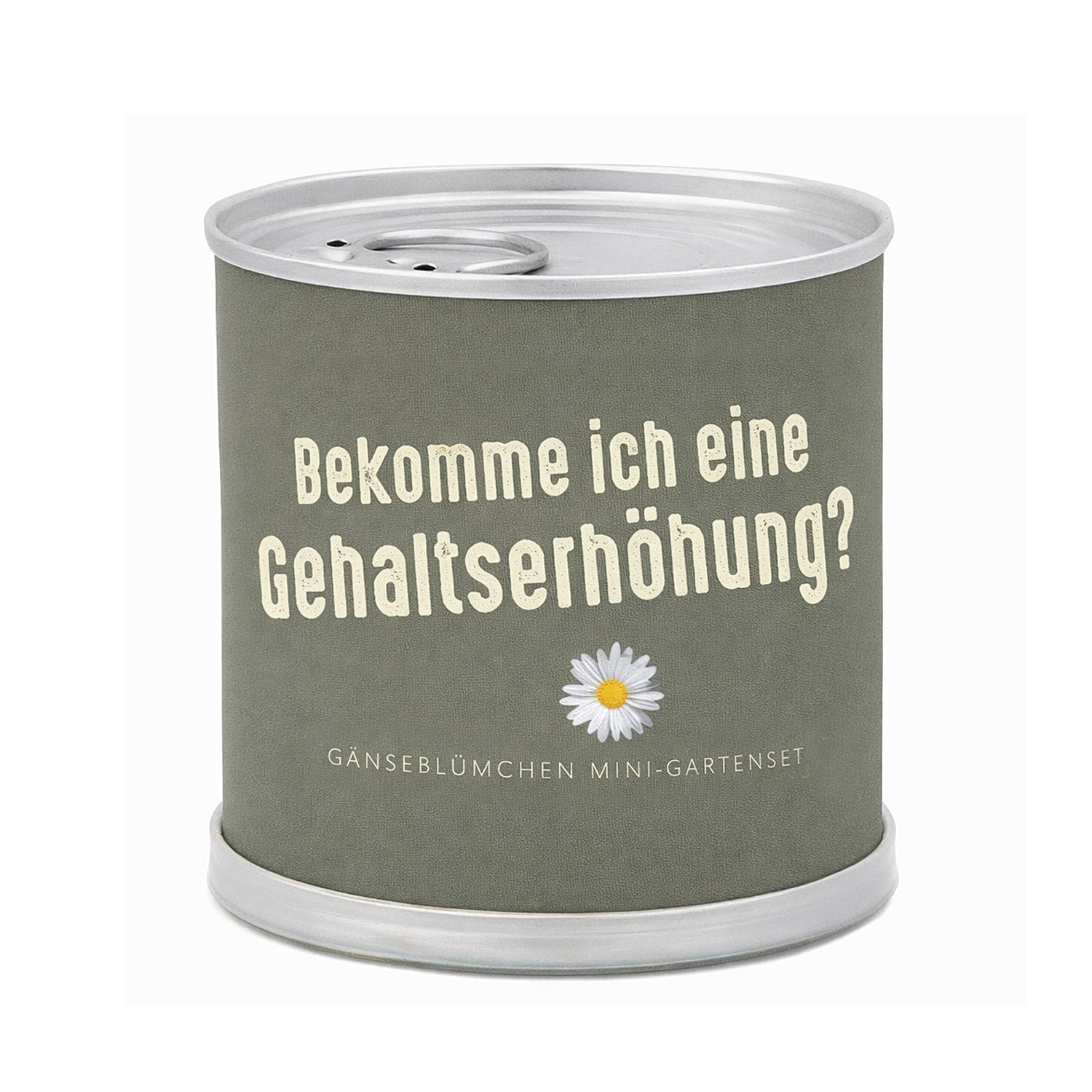 Freches Geschenk mit Augenzwinkern – Anzuchtset Gänseblümchen in der Blumendose | Gehaltserhöhung