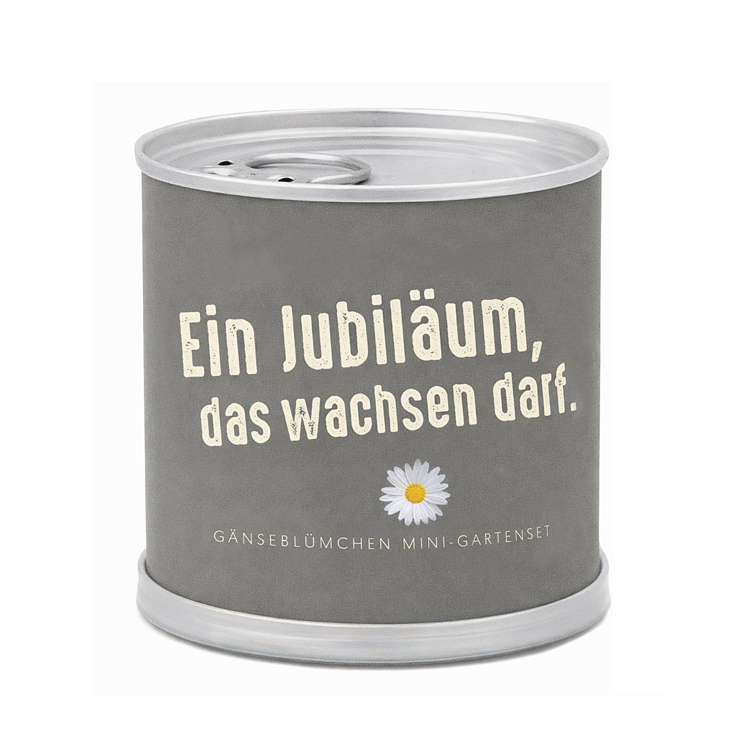 Jubiläumsgeschenk – Anzuchtset Gänseblümchen in der Blumendose | Mini-Gartenset unter 10 Euro